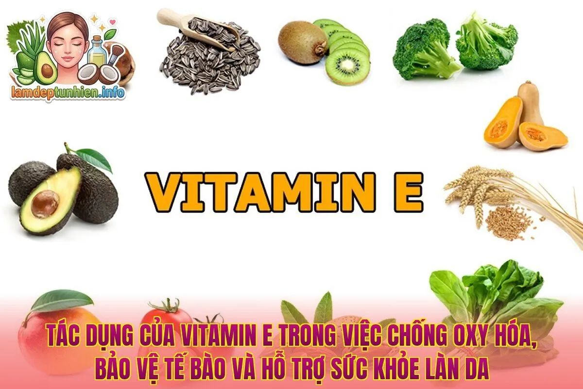 Tác dụng của Vitamin E trong việc chống oxy hóa, bảo vệ tế bào và hỗ trợ sức khỏe làn da