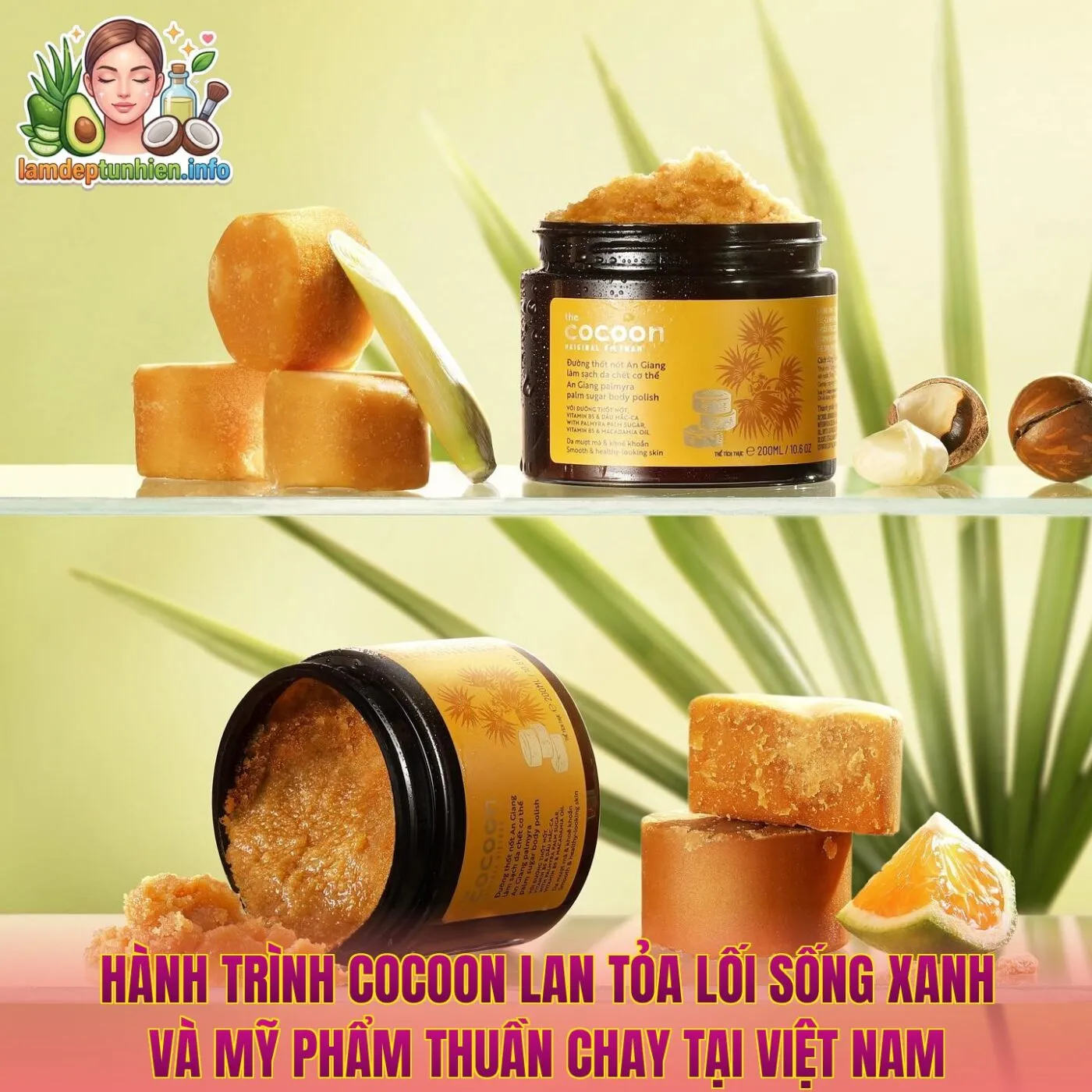Hành trình Cocoon lan tỏa lối sống xanh và mỹ phẩm thuần chay tại Việt Nam