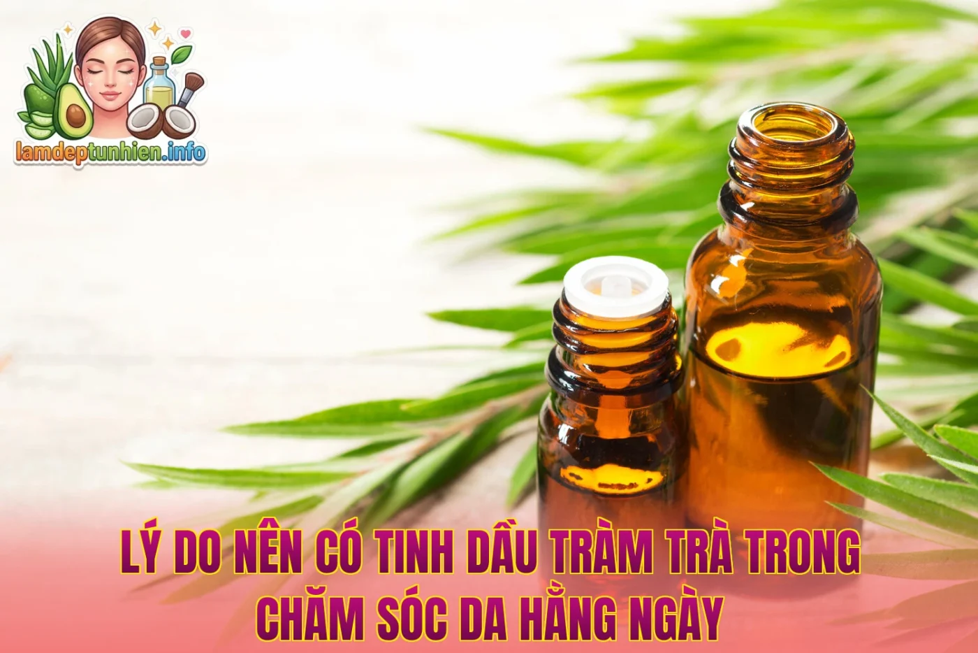 Lý Do Nên Có Tinh Dầu Tràm Trà Trong Chăm Sóc Da Hằng Ngày