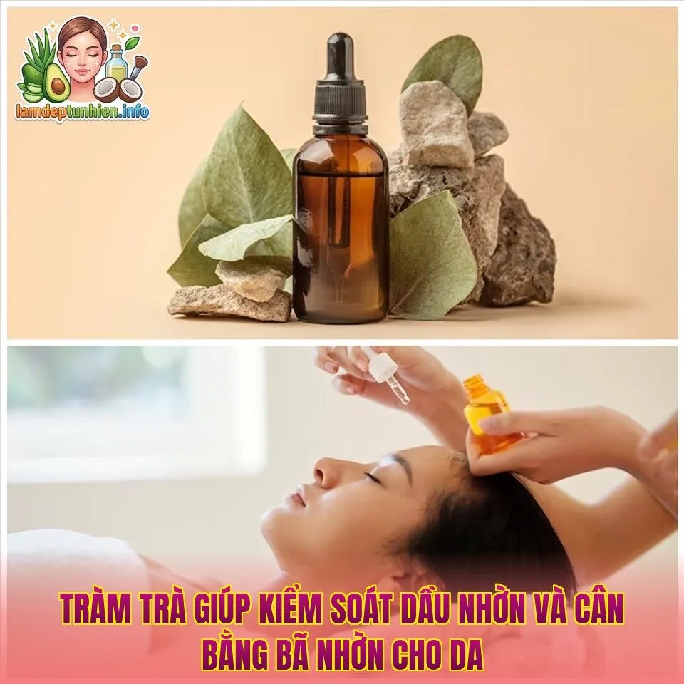 Tràm trà giúp kiểm soát dầu nhờn và cân bằng bã nhờn cho da