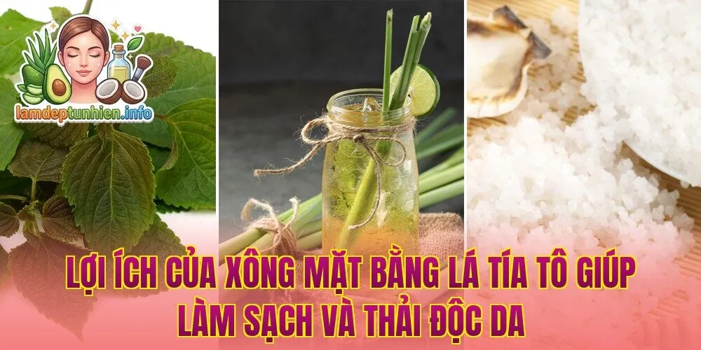 Lợi ích của xông mặt bằng lá tía tô giúp làm sạch và thải độc da