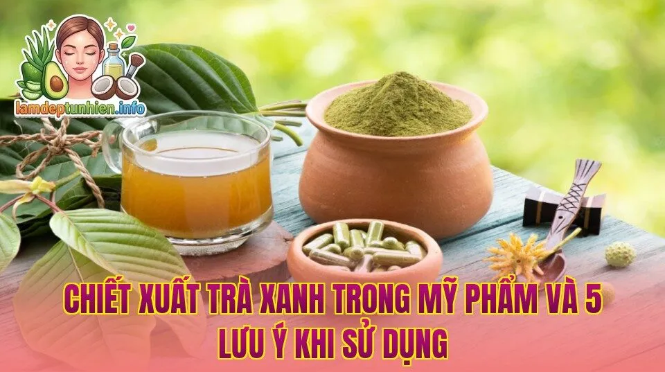 Chiết Xuất Trà Xanh Trong Mỹ Phẩm Và 5 Lưu Ý Khi Sử Dụng