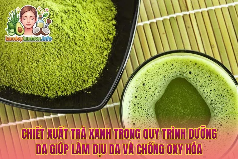 Chiết xuất trà xanh trong quy trình dưỡng da giúp làm dịu da và chống oxy hóa
