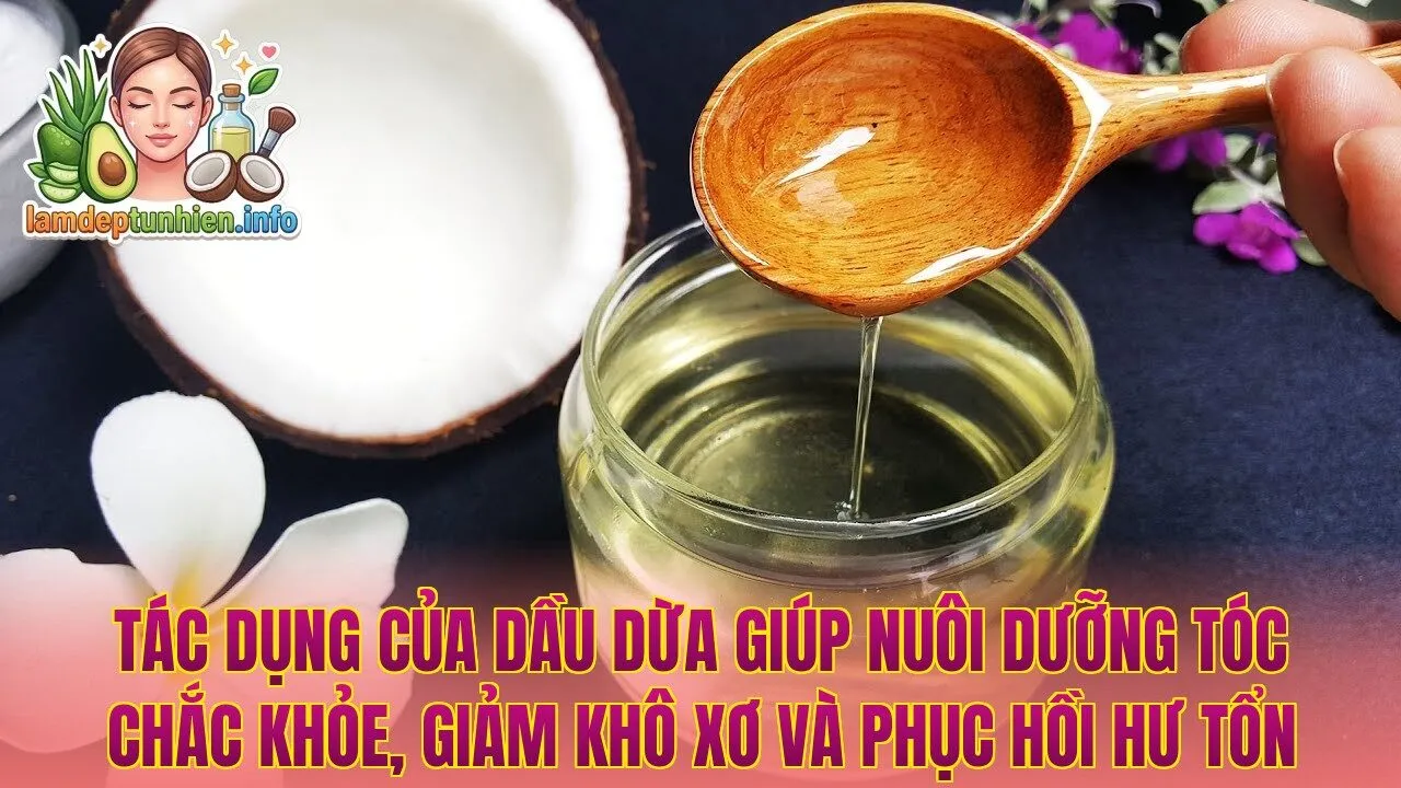 Tác dụng của dầu dừa giúp nuôi dưỡng tóc chắc khỏe, giảm khô xơ và phục hồi hư tổn