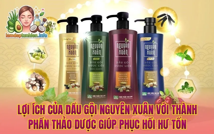 Lợi ích của dầu gội Nguyên Xuân với thành phần thảo dược giúp phục hồi hư tổn