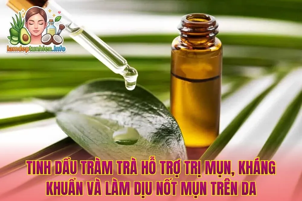 Tinh dầu tràm trà hỗ trợ trị mụn, kháng khuẩn và làm dịu nốt mụn trên da
