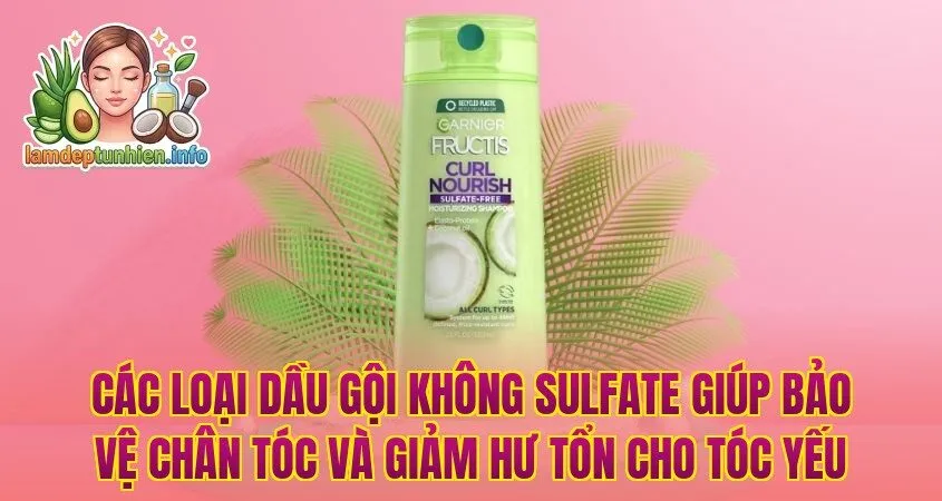 Các loại dầu gội không sulfate giúp bảo vệ chân tóc và giảm hư tổn cho tóc yếu