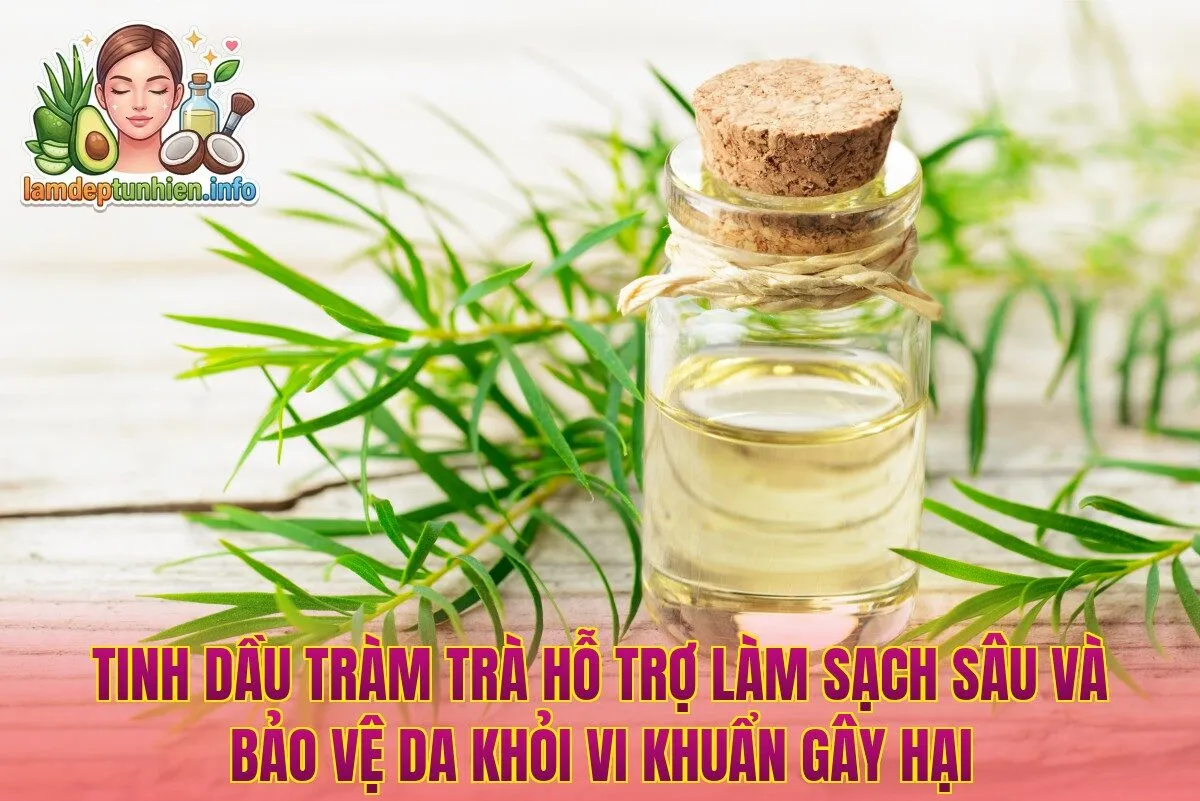 Tinh dầu tràm trà hỗ trợ làm sạch sâu và bảo vệ da khỏi vi khuẩn gây hại